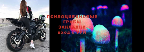 дмт Ладушкин