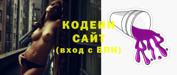 дмт Ладушкин