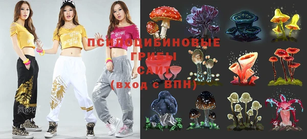 mdma Лагань
