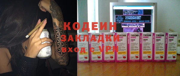 дмт Ладушкин