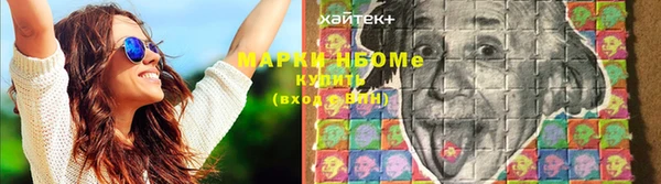 дмт Ладушкин