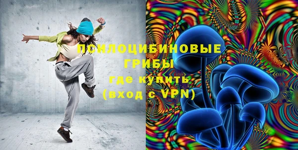 mix Лабытнанги