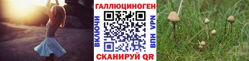 Купить закладки  Черкесск  Галлюциногенные грибы мицелий 